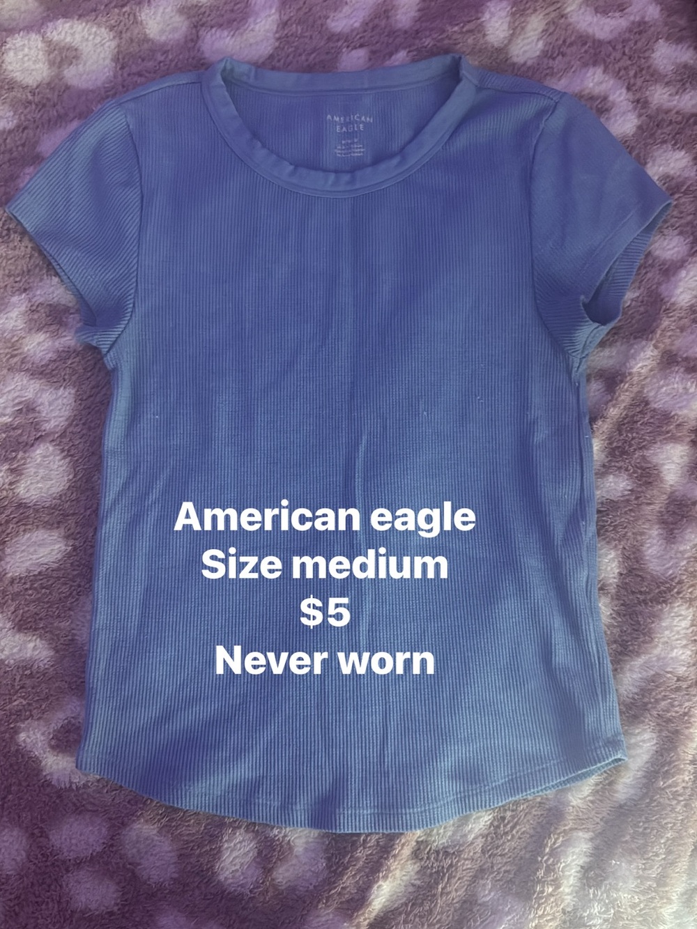 American Eagle Outfitters Blue Ribbed Short Sleeve Tee